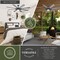 Vaxcel Indoor Outdoor Ceiling Fan, DC Motor Burlington 68-in Large Slate Gray LED F0113 - alternate 7